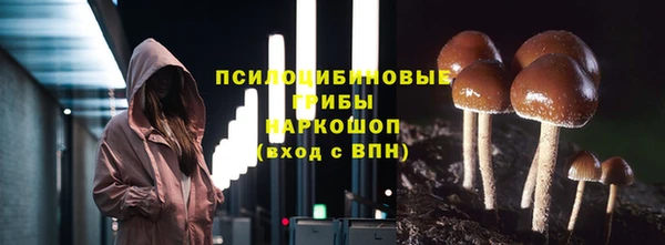 ECSTASY Пестово