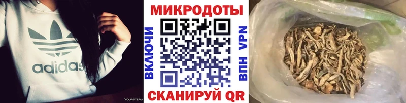 хочу наркоту  Пошехонье  Псилоцибиновые грибы ЛСД 