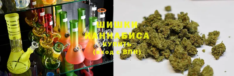 Бошки марихуана LSD WEED  кракен маркетплейс  Пошехонье 